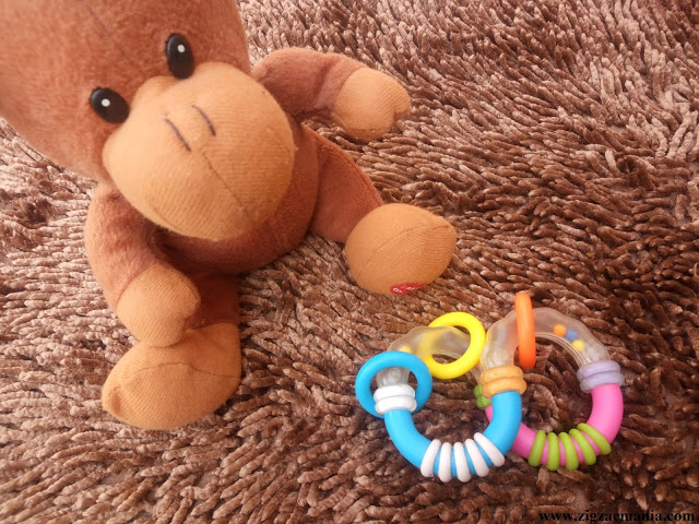 Baby Teether Review
