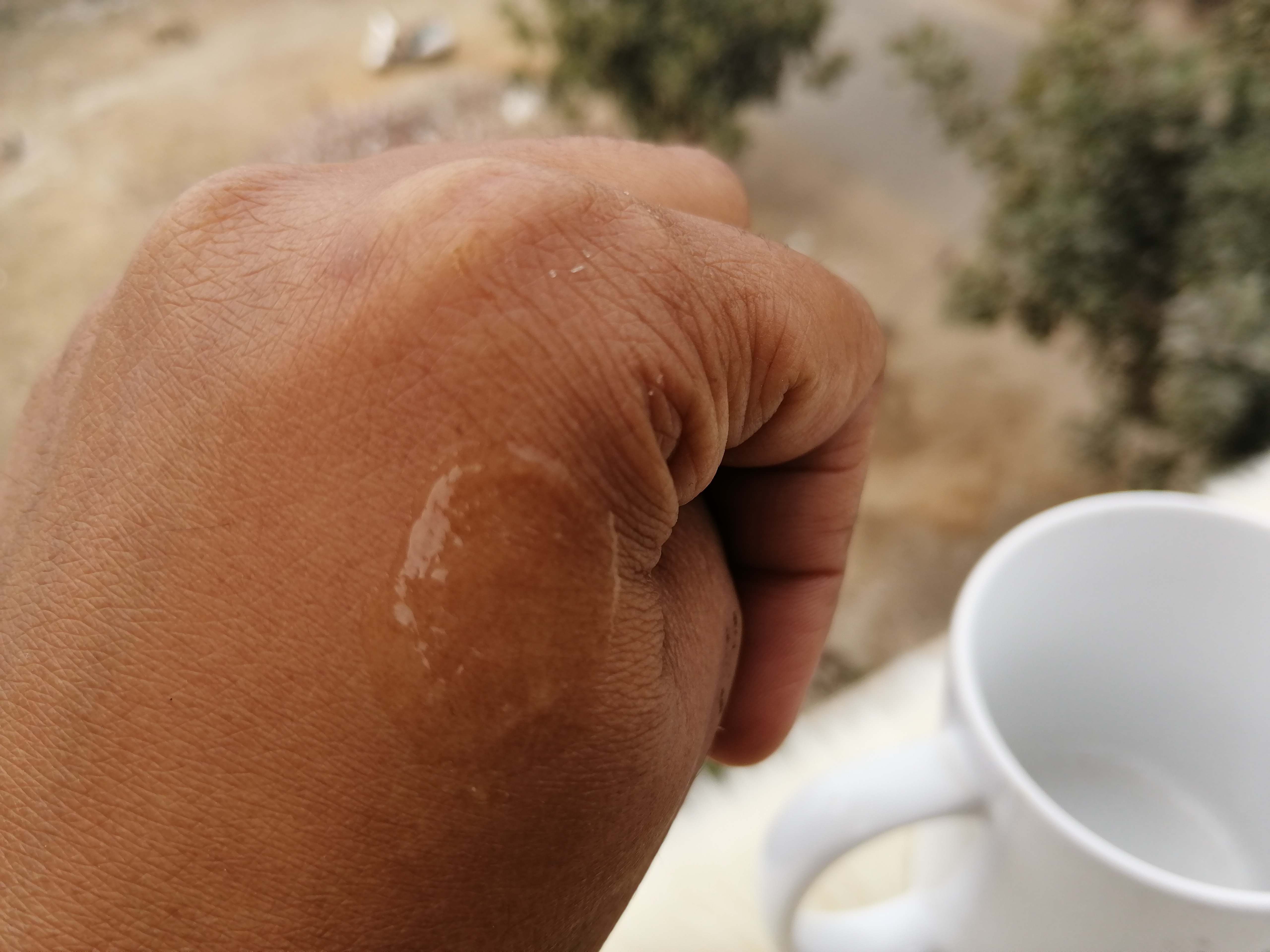 Biotique Papaya Visibly Ageless Scrub Wash| Review