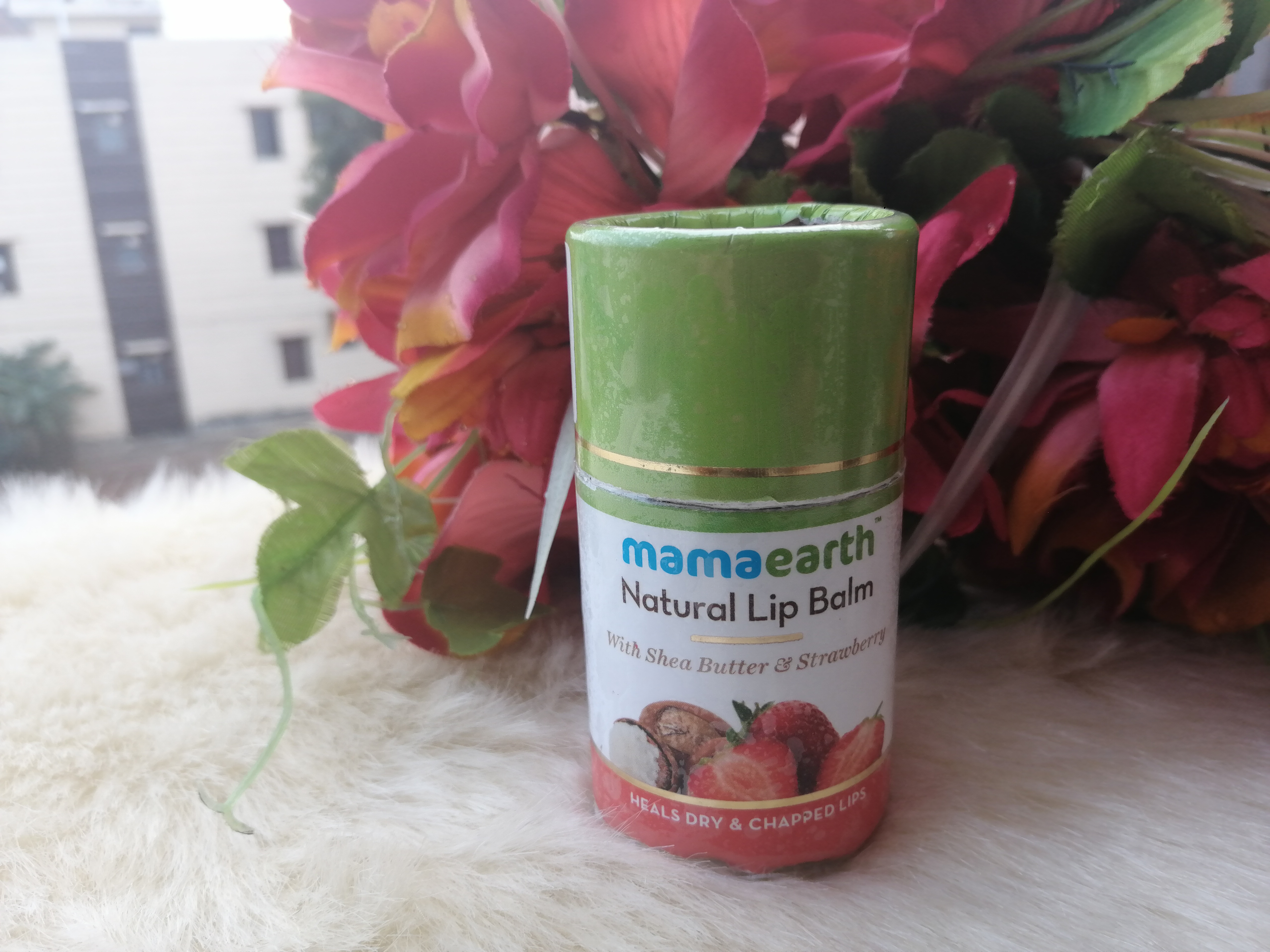 Mamaearth Natural Lip Balm (Shea butter & Strawberry)| Review