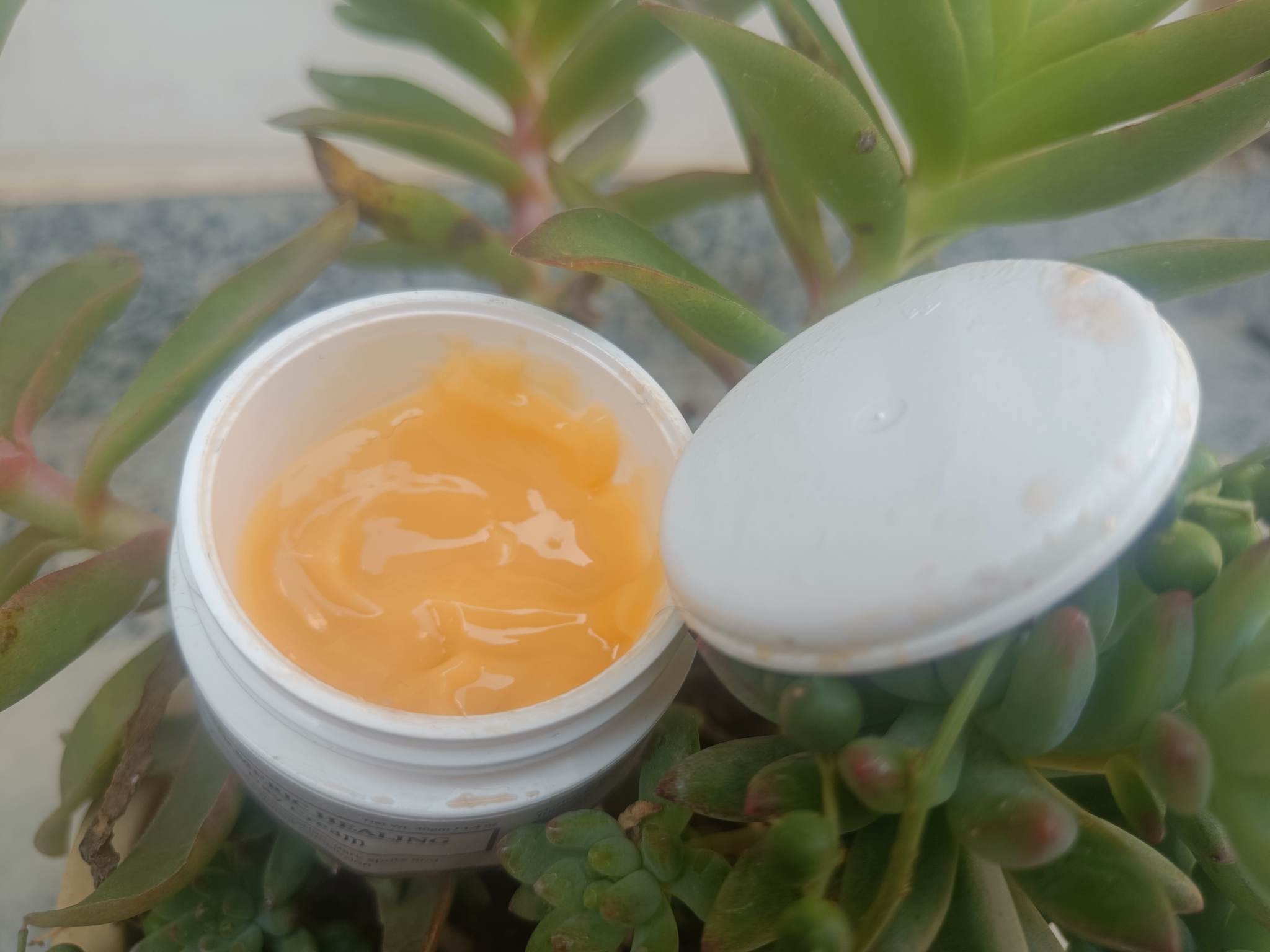 Mother Sparsh Turmeric Healing Day Cream| Review